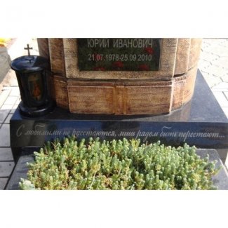 Эксклюзивный памятник № 003